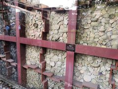 -南越王博物院(王宫展区)