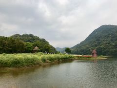 -广州市石门国家森林公园