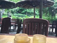 -芽庄大教堂