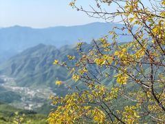 -妙峰山风景名胜区