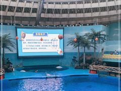 -海合安成都极地海洋公园