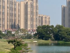 -南沙高尔夫球会