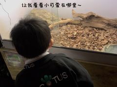 -昆明大悦城未来动物城(螺蛳湾中心店)