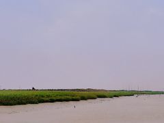 -花岙岛