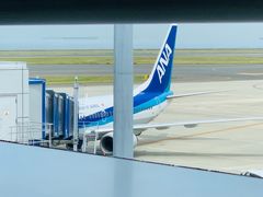 -全日本空输株式会社(上海办事处)