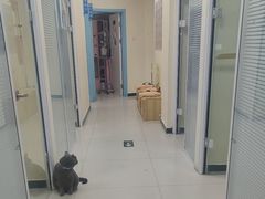 -全心全意连锁动物医院·微创中心·内科急重症·心脏专科(丰管路店)