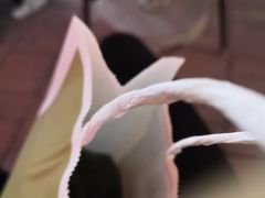 -URBAN REVIVO(北京斯普瑞斯奥特莱斯店)