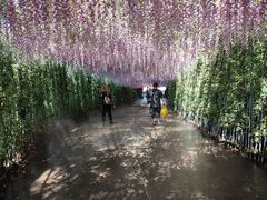-东莞观音山旅游风景区