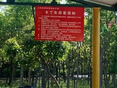 -上海海湾国家森林公园