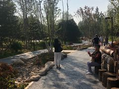 -回龙观体育文化公园