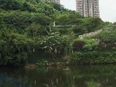 -重庆彩云湖湿地公园