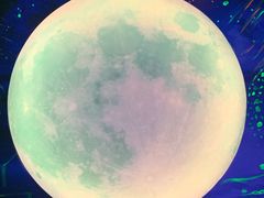 -九府羊·鲜羊火锅·烤串(新华路店)