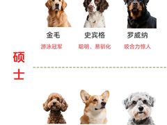 -宠乐迪宠物生活馆(德平路店)