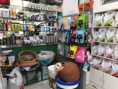 -利又安动物医院··老年病·猫科犬科·中兽医