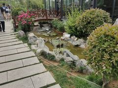 -蘇河湾·新鲁菜·泰山宴(泰山店)