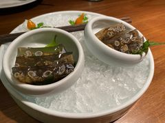 -CHIC1699远洋私厨