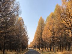 -塞罕坝国家级自然保护区