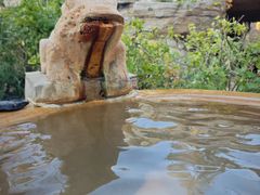 -仁爱团泊湖温泉中心