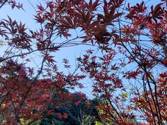 -广州市帽峰山景区