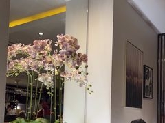 -峨嵋一派