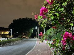 -仙岳公园