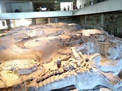 -自贡恐龙博物馆