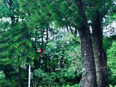 -人民公园(罗湖区)