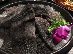 -渝涯重庆豆花老火锅(中赢国际店)