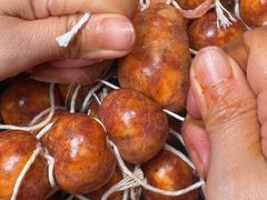 -青山青豆花·笑禅豆腐鱼(黄泥塝店)