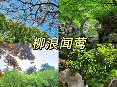 -柳浪闻莺公园