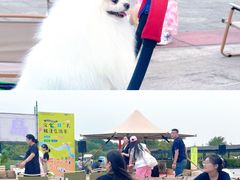 -阳澄湖半岛旅游度假区
