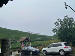 -听风阁农家私房菜茶楼(龙坞店)