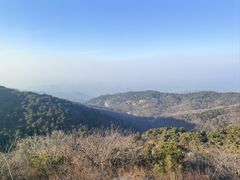 -鲁山国家森林公园