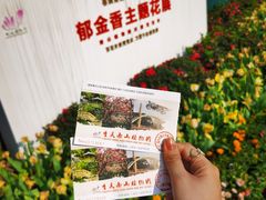 -南山植物园