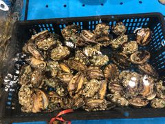 -蓝钻·国际美食海鲜自助百汇(西直门店)