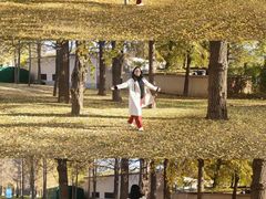 -大连理工大学(凌水校区)