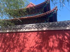 -白洋淀景区