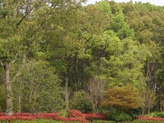 -昆山城市生态森林公园