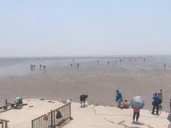 -碧海金沙