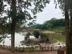 -泉州海丝野生动物世界