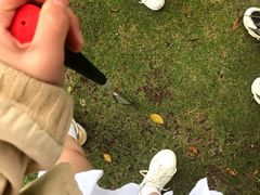 -观澜湖高尔夫球会