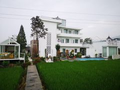 -杨家堂村
