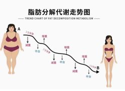 -Fundi张玉珊修身堂·indiba·BTL科技瘦身