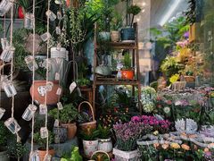 -循礼门鲜花花市(武汉循礼门店)