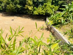 -泉州海丝野生动物世界