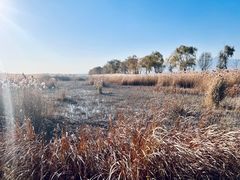 -野鸭湖国家湿地公园