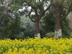 -圩墩遗址公园