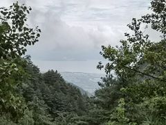 -苍山感通索道