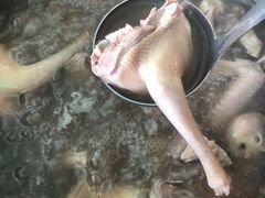 -皇鸽餐厅(龙塘店)