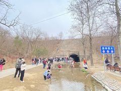 -白水寺森林公园